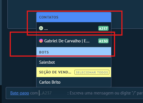 Seletor de contato/canal: WhatsApp ou Instagram